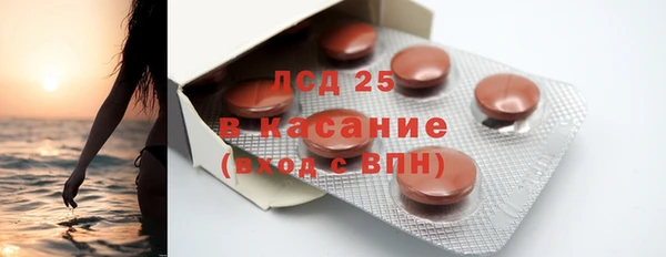 сатива Покачи