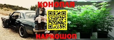 ALPHA-PVP Бийск
