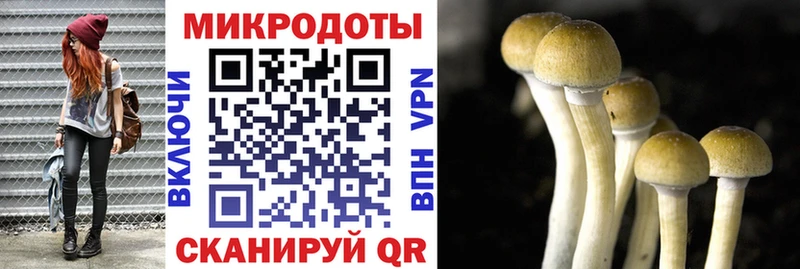 Псилоцибиновые грибы MAGIC MUSHROOMS  Добрянка 