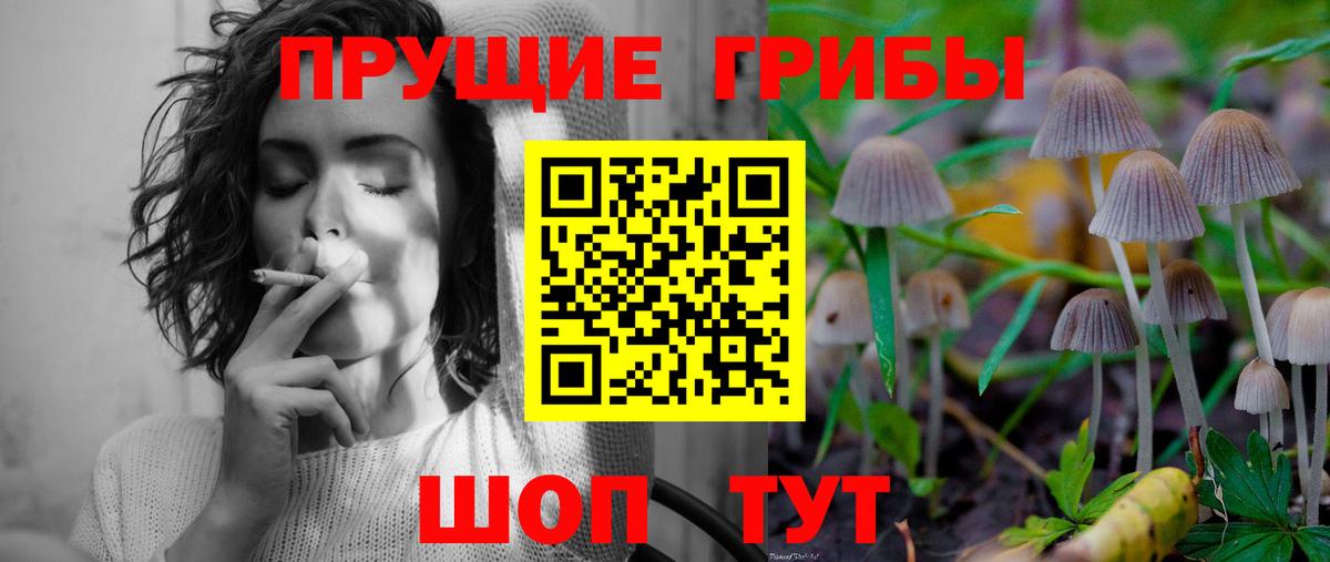 Галлюциногенные грибы Magic Shrooms  Вход с VPN  Галлюциногенные грибы Psilocybine cubensis  Добрянка 